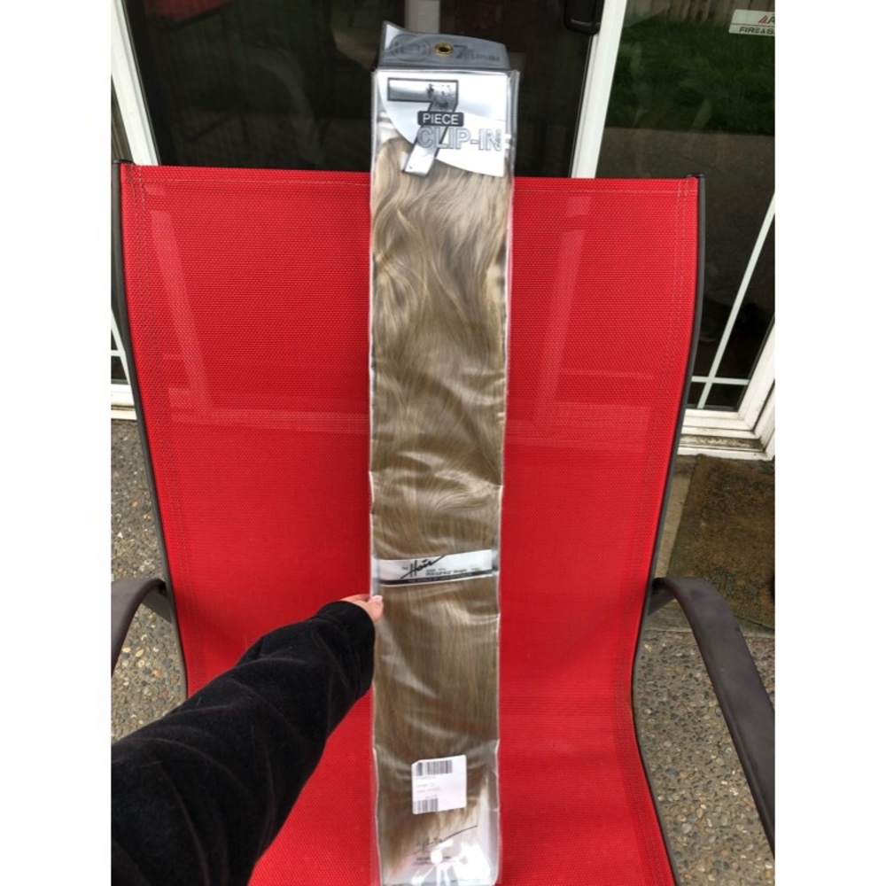Ash Blonde 22 Professional Clip-in Hair Extensions